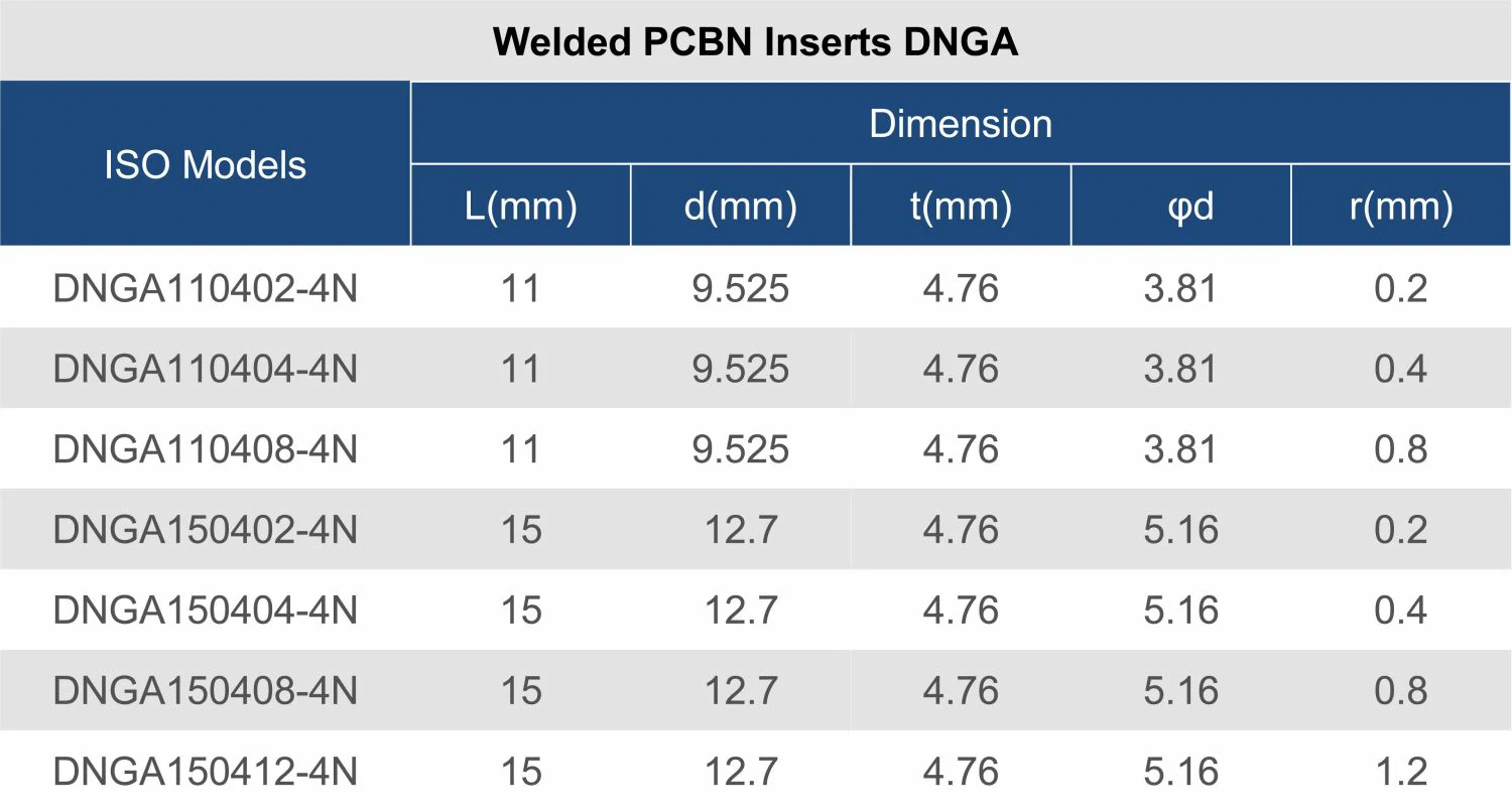 DNGA-11.jpg